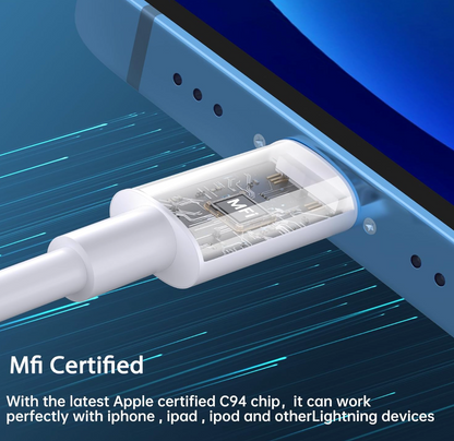 USB C Charger & Lightning Cable (2 Pack)